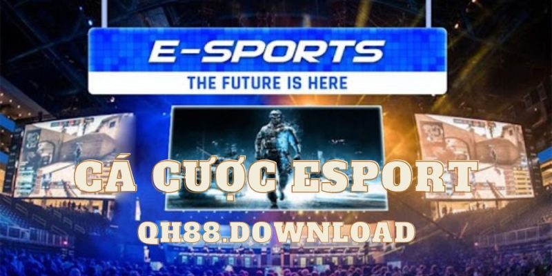 esport-qh88